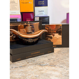 Le chameau magical moments desert